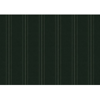 ORCD541 Halo Olive